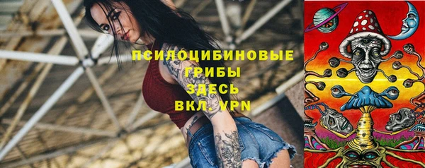 сатива Балабаново