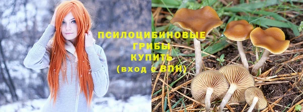 спиды Арсеньев