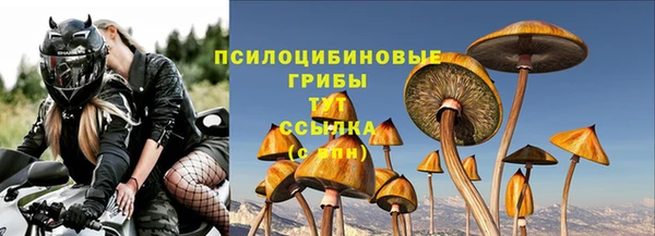 спиды Арсеньев