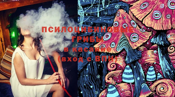 спиды Арсеньев