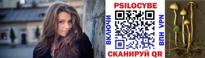Галлюциногенные грибы Psilocybine cubensis Белая Холуница